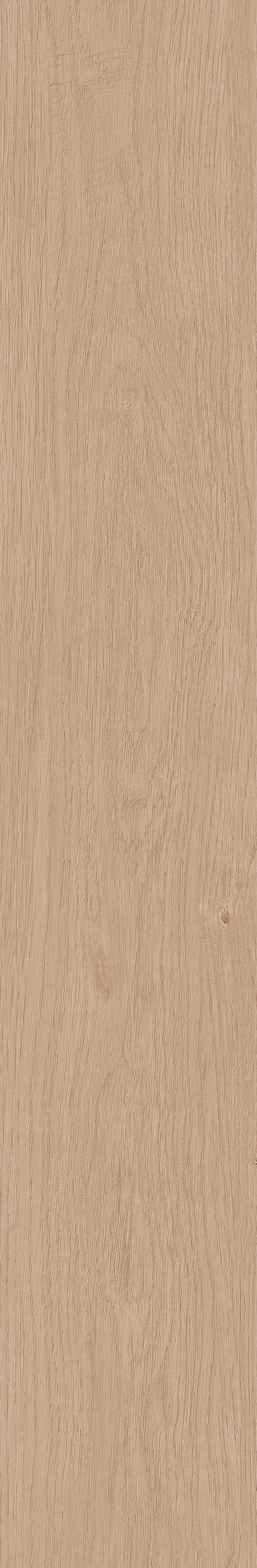 芬芳 · 哑光模具 W1202330 · W1202330 单片图 47
