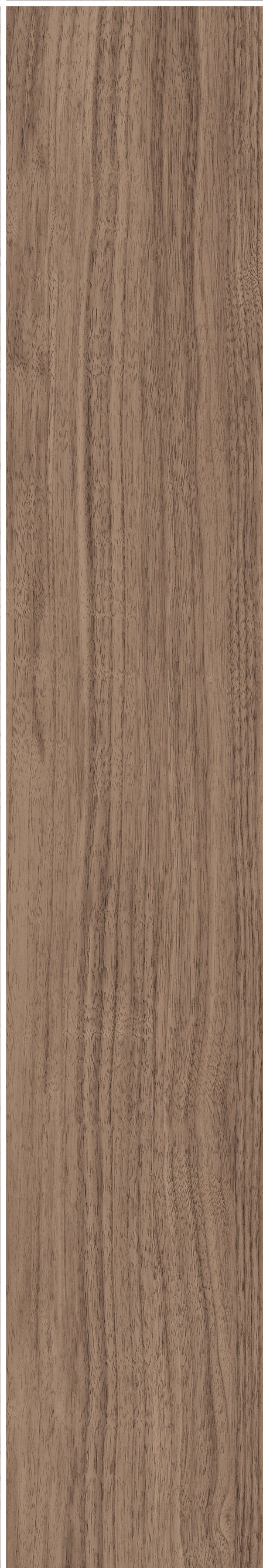 North American Walnut · Matt mould W1202075 · W1202075 single tile image 21