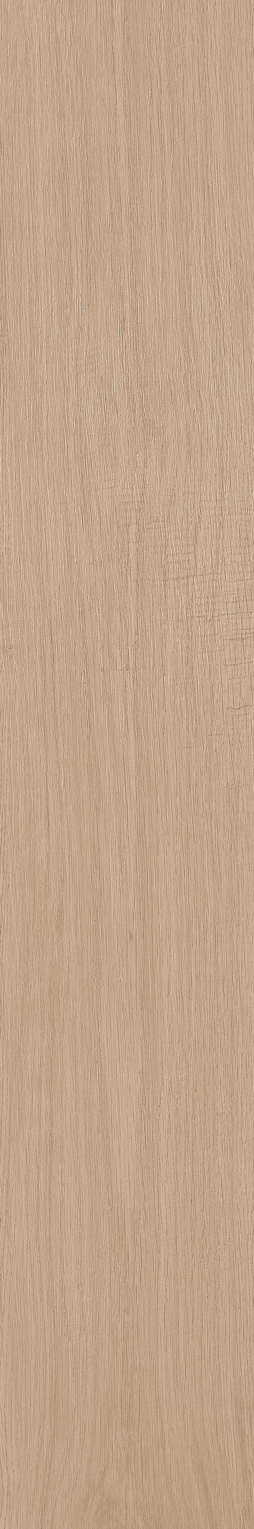 芬芳 · 哑光模具 W1202330 · W1202330 单片图 9
