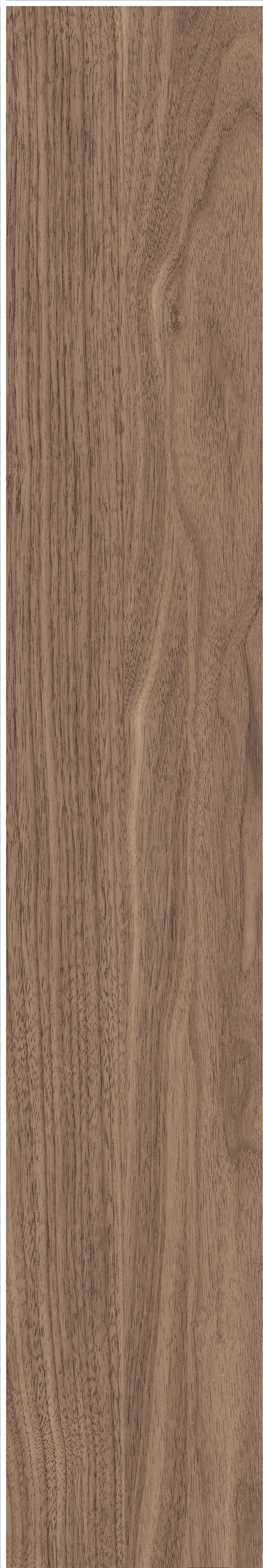 North American Walnut · Matt mould W1202075 · W1202075 Single tile image 26