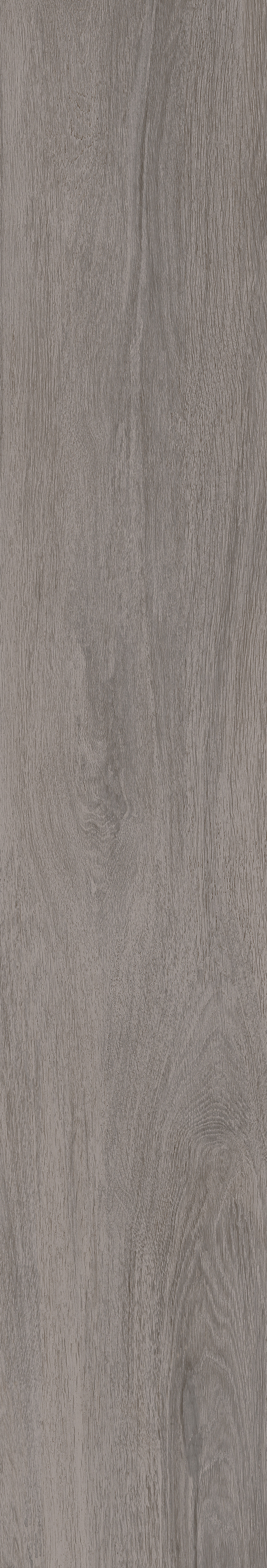 Cedar · Matt mould W15025021 · W15025021 Single tile image 4
