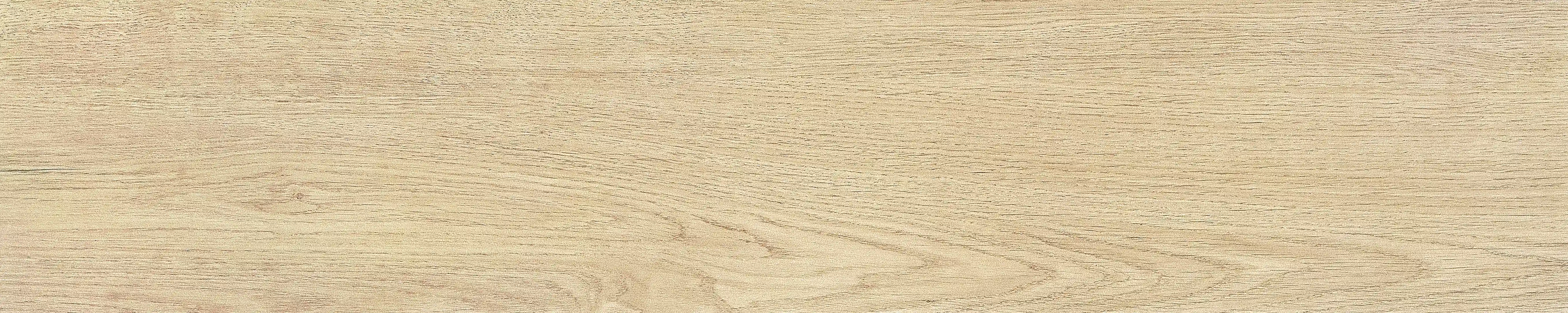 半岛 · 哑光模具 W1002033 · W1002033 单片图 4