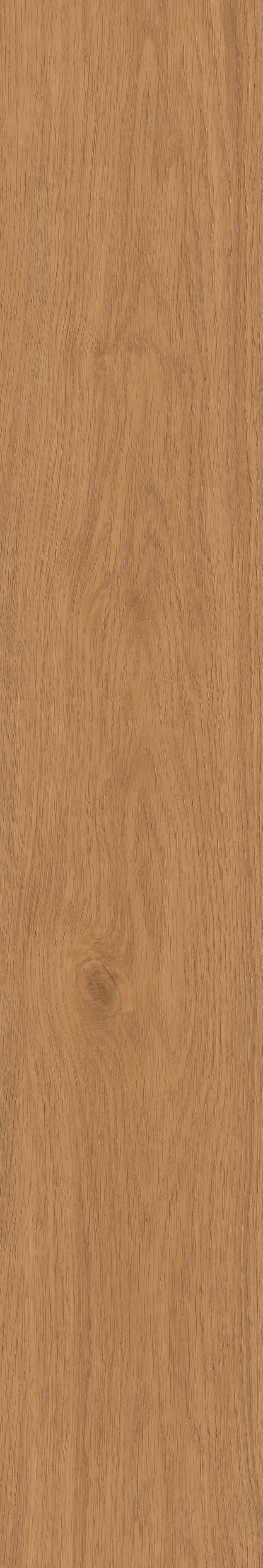 Yangmu · Digital Mould W1202342 · W1202342 Single tile image 7
