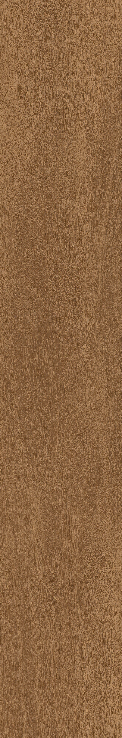 Cedar · Matt Mould W1202325 · W1202325 Single Tile Image 6