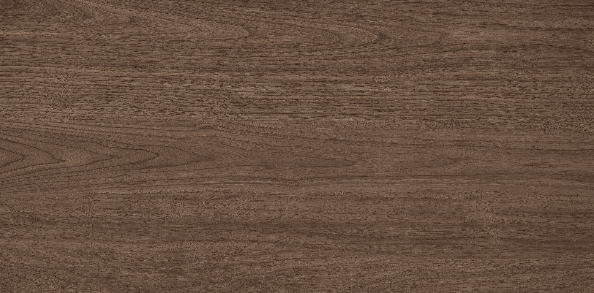 West Coast Walnut · Velvet R1206502 · R1206502 Single tile 5