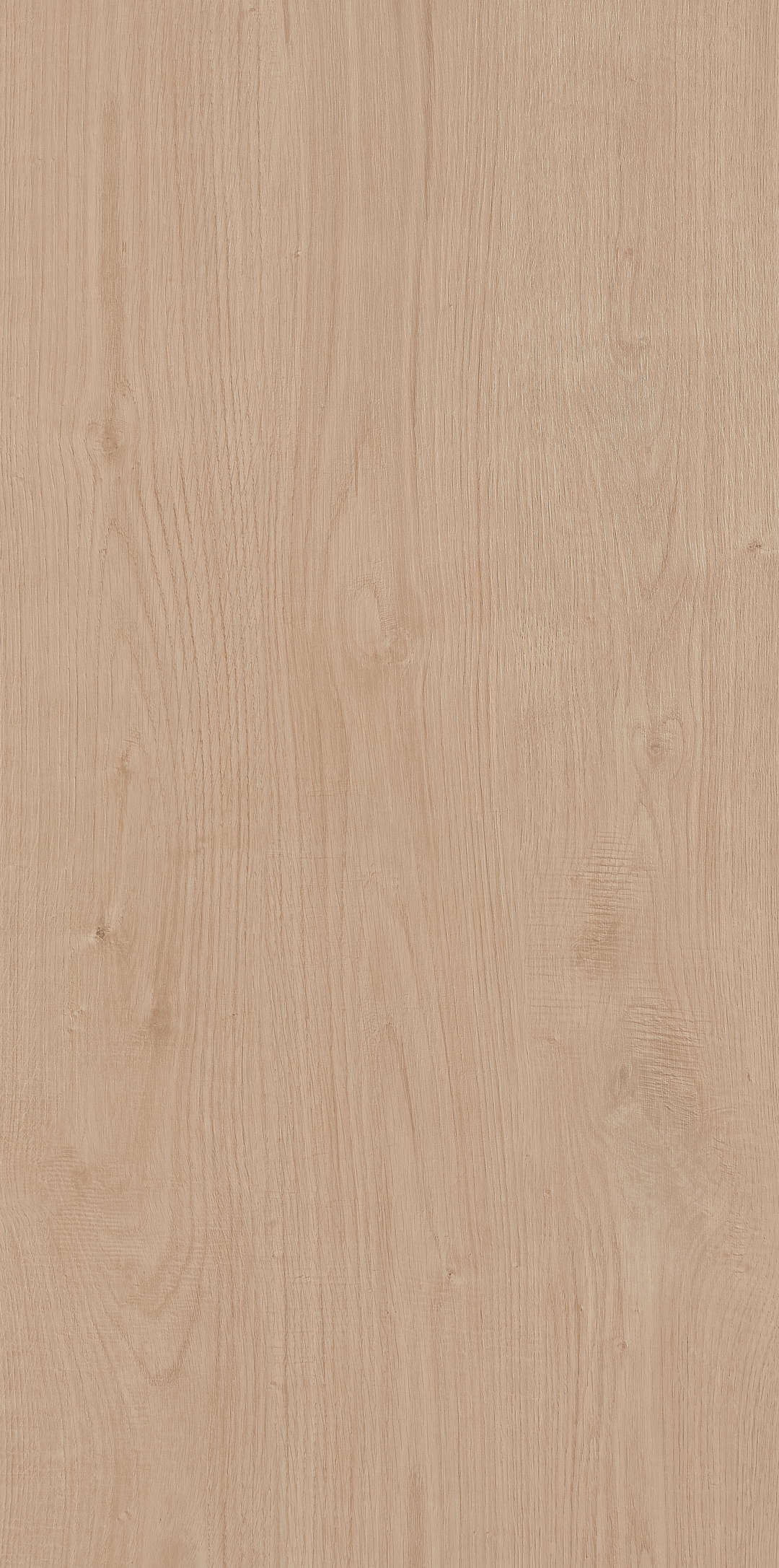 Fragrance · Matt Mould W1206330 · W1206330 single tile image 3