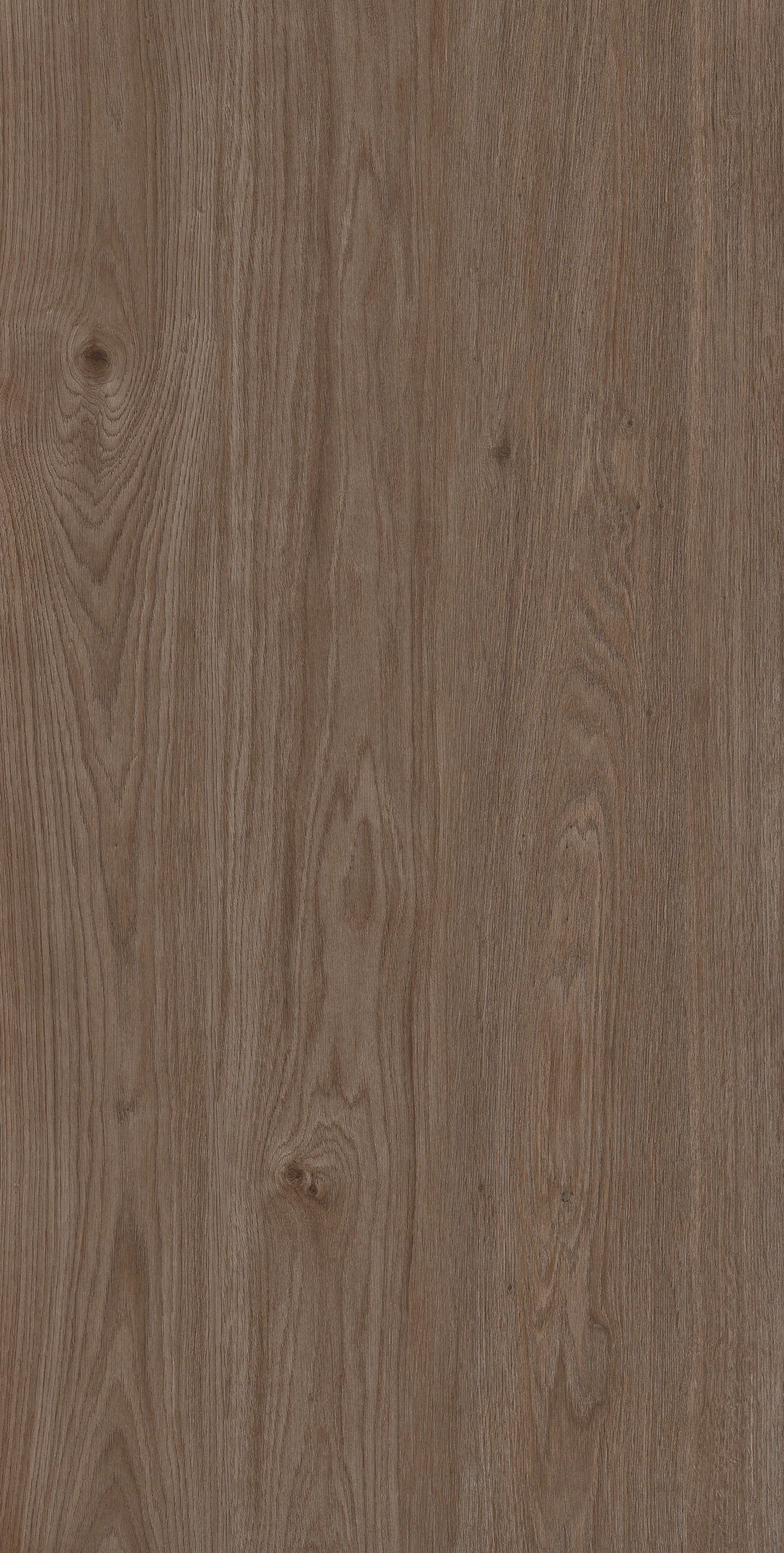 Arden Wood · Matt Mould W1507519 · W1507519 Single Tile Image 5