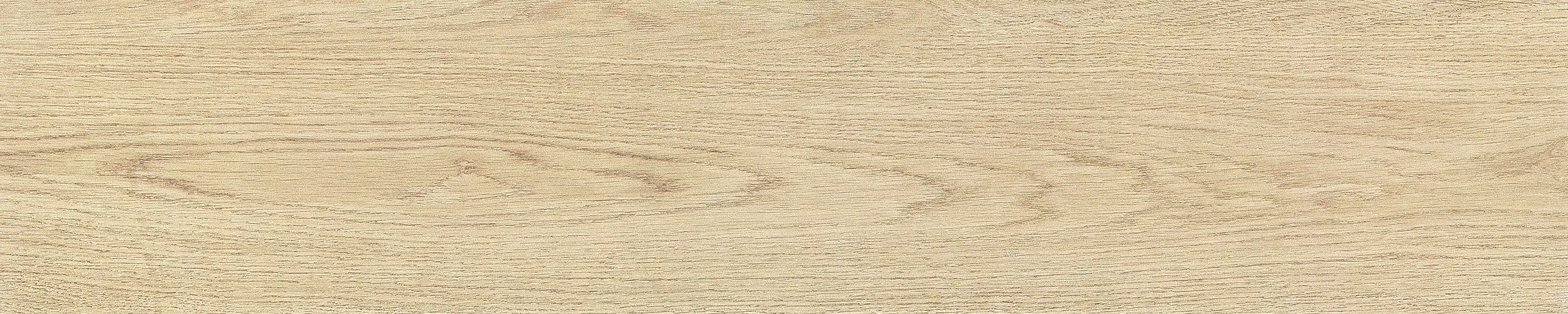 半岛 · 哑光模具 W1002033 · W1002033 单片图 27