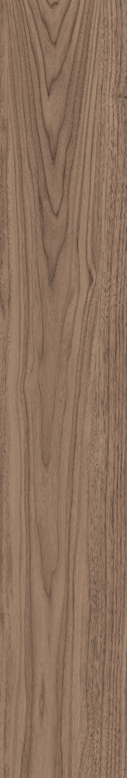 North American Walnut · Matt mould W1202075 · W1202075 single tile image 2