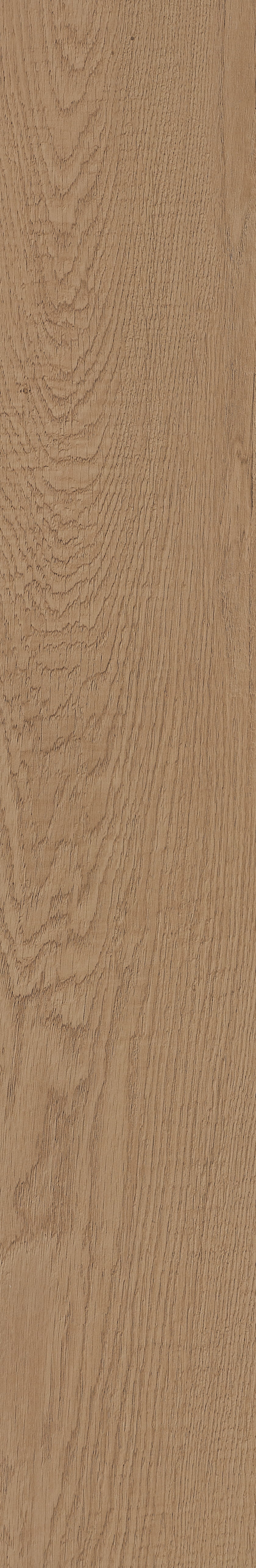 Fragrant · Matt Mould W1202331 · W1202331 single tile image 48