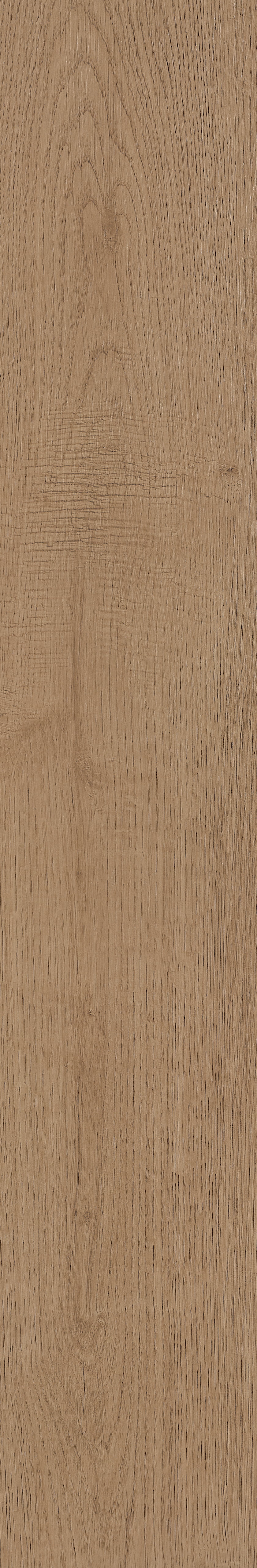 Fragrant · Matt Mould W1202331 · W1202331 Single Tile Image 28