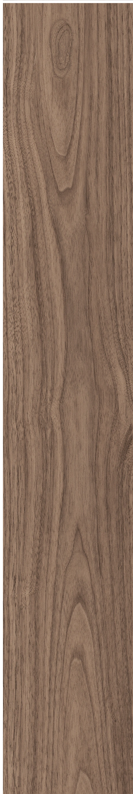 North American Walnut · Matt mould W1202075 · W1202075 single tile image 22