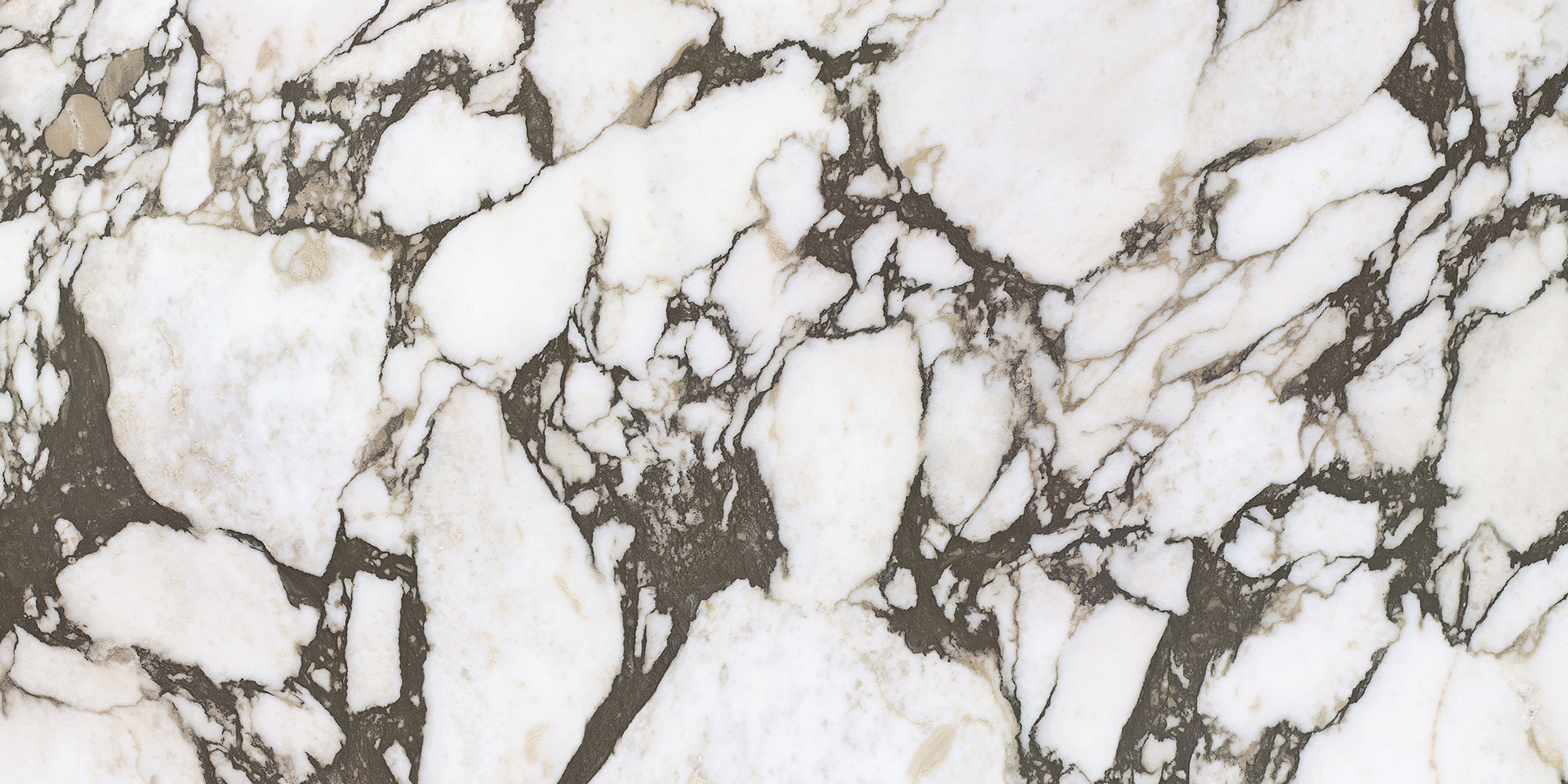 Bulgari · Replica Glaze A715103 · A715103 Single Tile 5