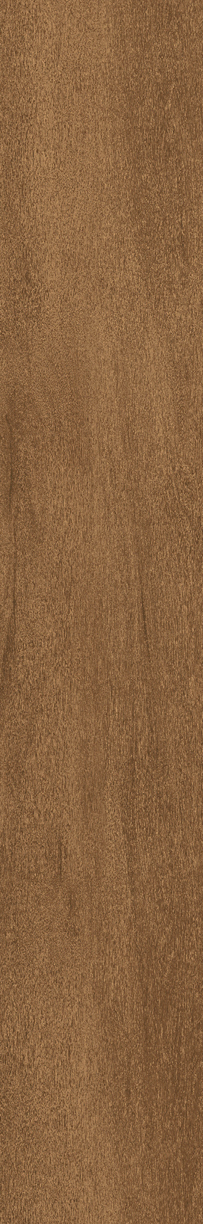 Cedar · Matt Mould W1202325 · W1202325 Single Tile Image 11