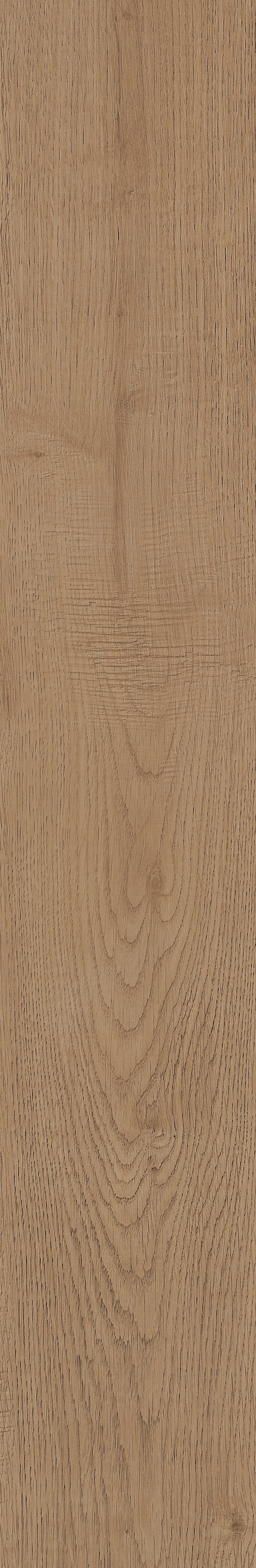 Fragrant · Matt Mould W1202331 · W1202331 single tile image 52
