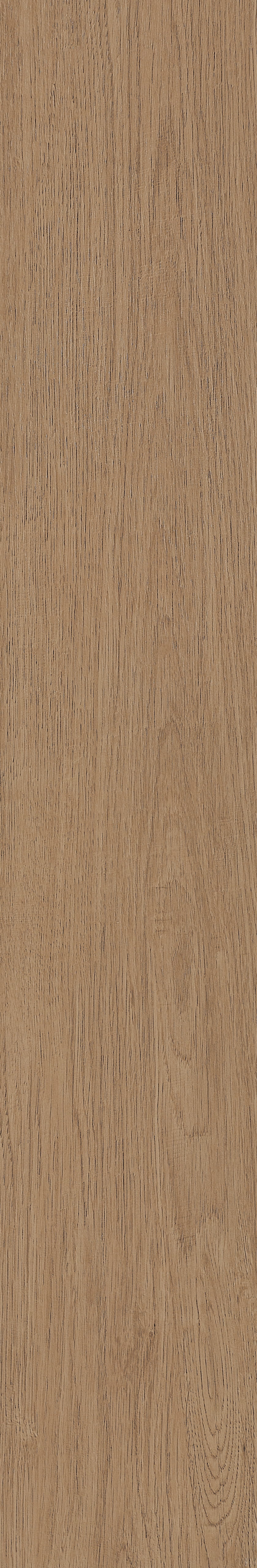 Fragrant · Matt Mould W1202331 · W1202331 Single Tile Image 35