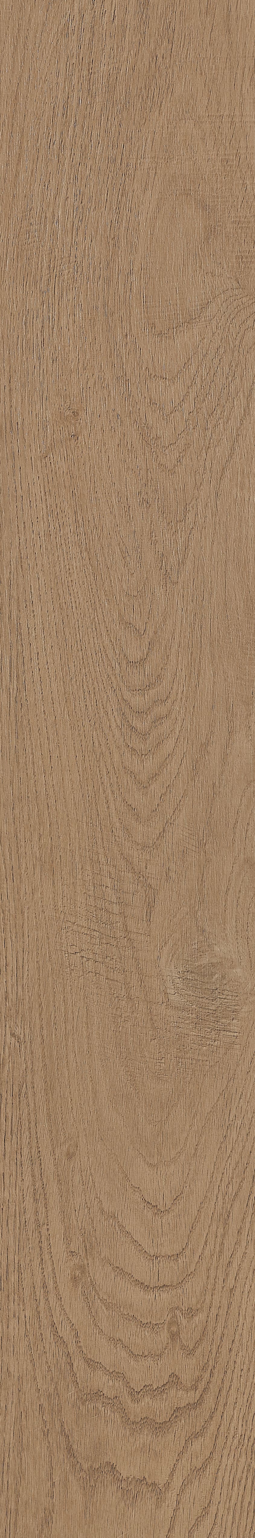 Fragrant · Matt Mould W1202331 · W1202331 Single Tile Image 23