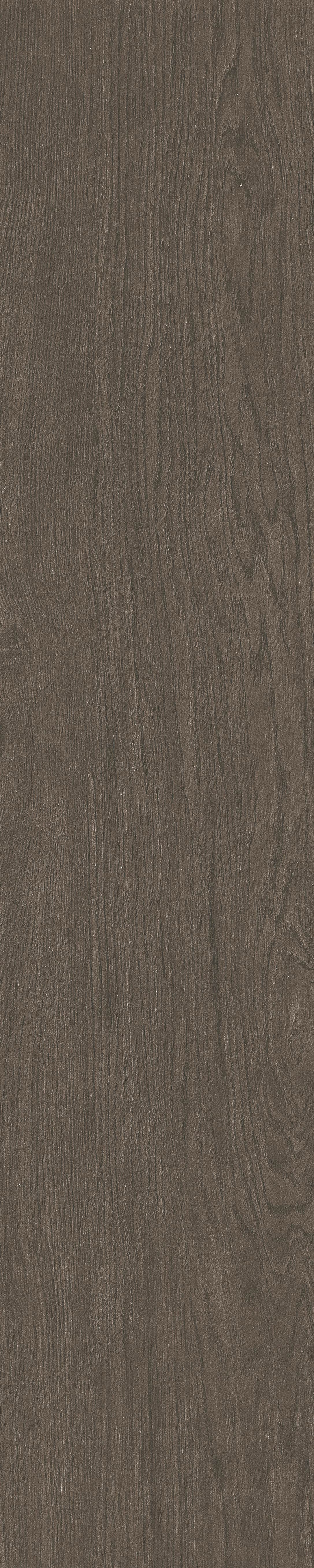 Peninsula · Matt Mould W1202071 · W1202071 single tile image 2