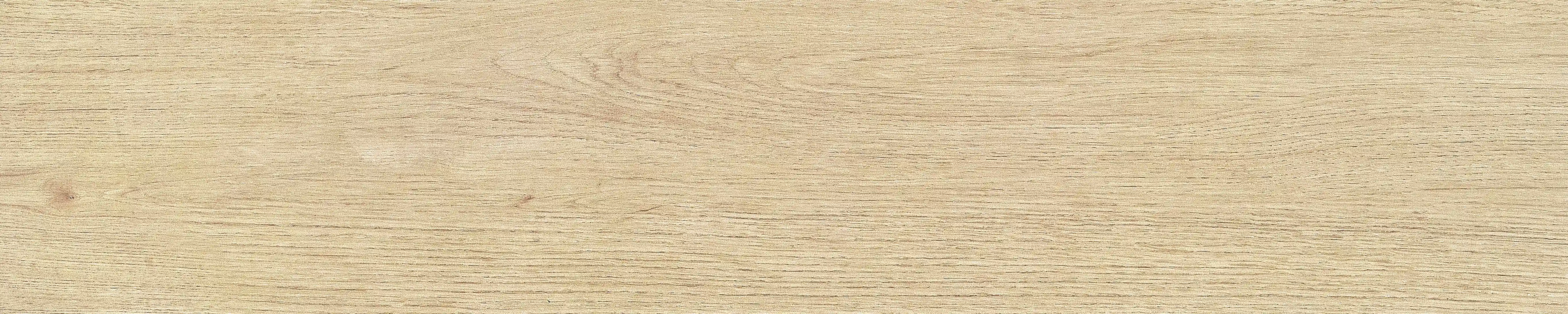 半岛 · 哑光模具 W1002033 · W1002033 单片图 24