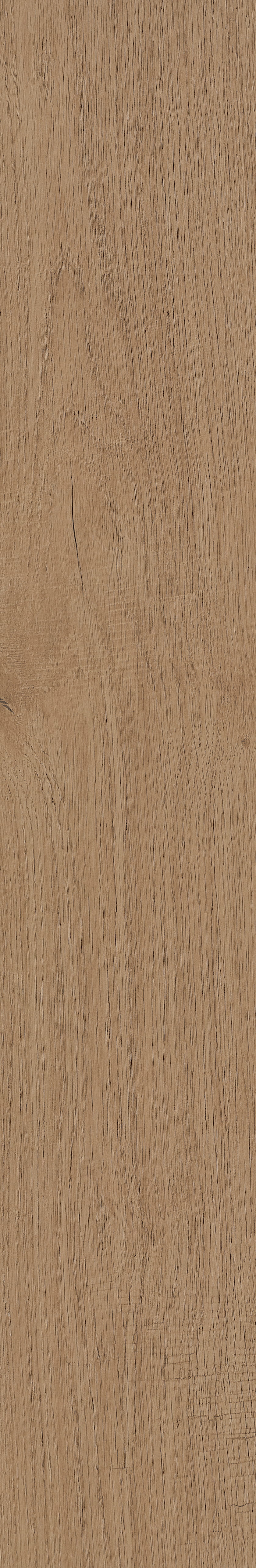 Fragrant · Matt Mould W1202331 · W1202331 single tile image 51