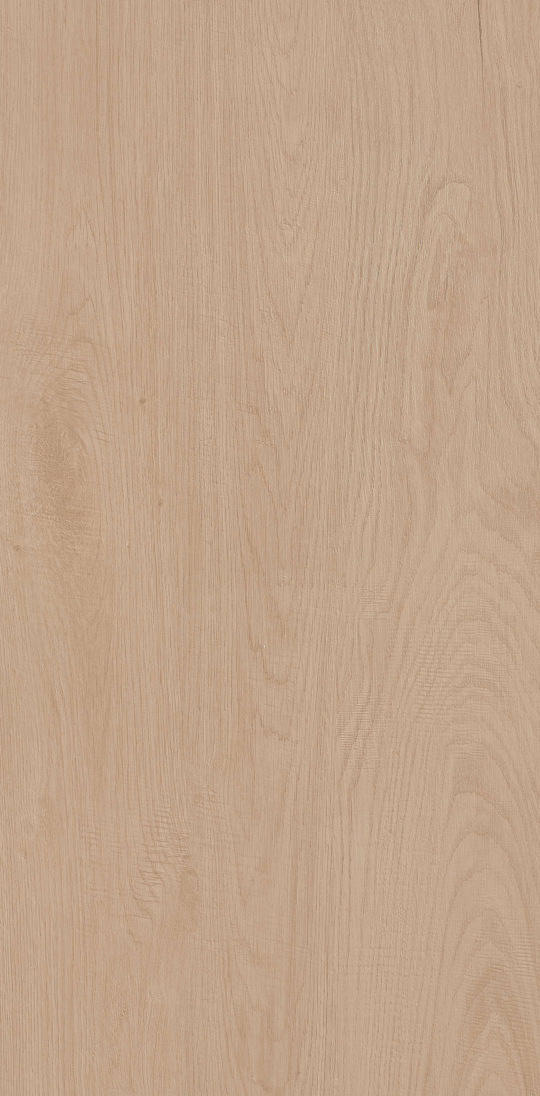 Fragrance · Matt Mould W1206330 · W1206330 single tile image 2