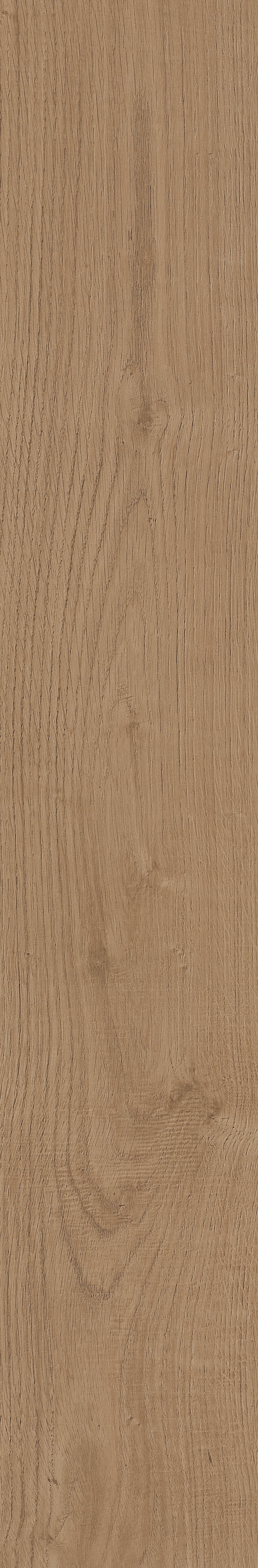 Fragrant · Matt Mould W1202331 · W1202331 Single Tile Image 6
