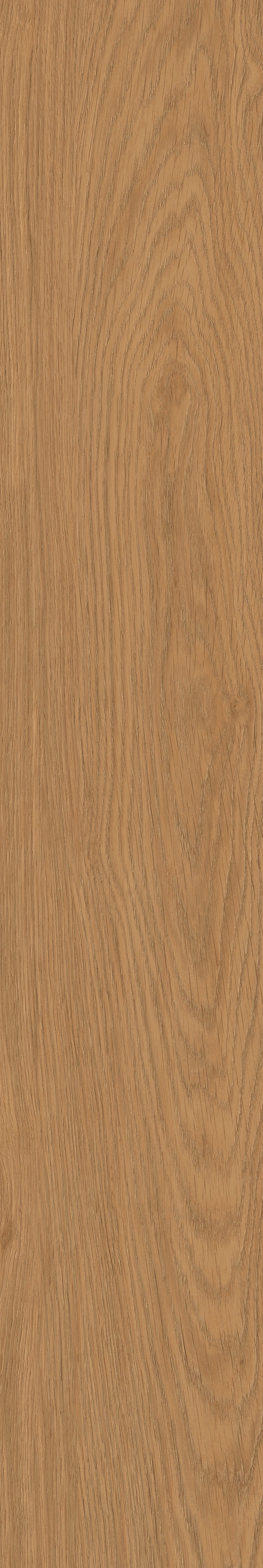 Yangmu · Digital Mould W1202342 · W1202342 Single tile image 19
