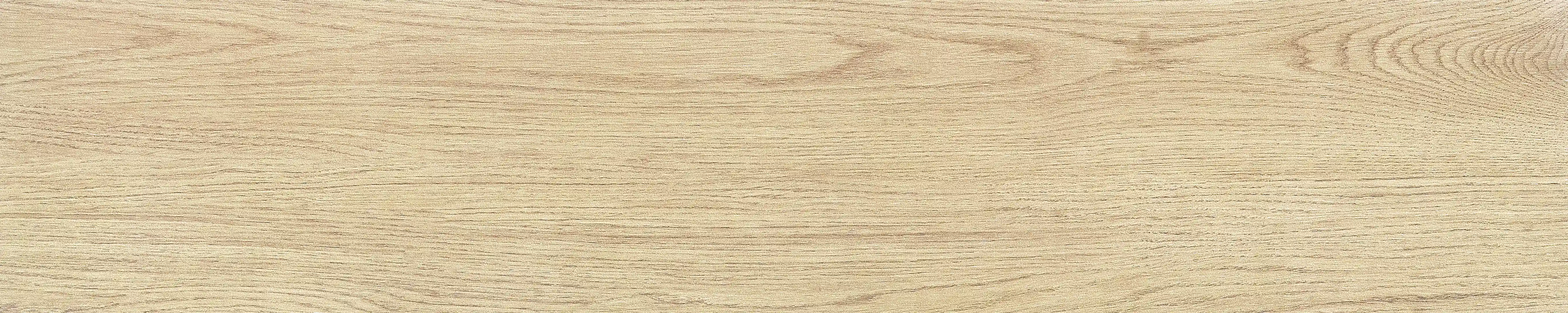 半岛 · 哑光模具 W1002033 · W1002033 单片图 20