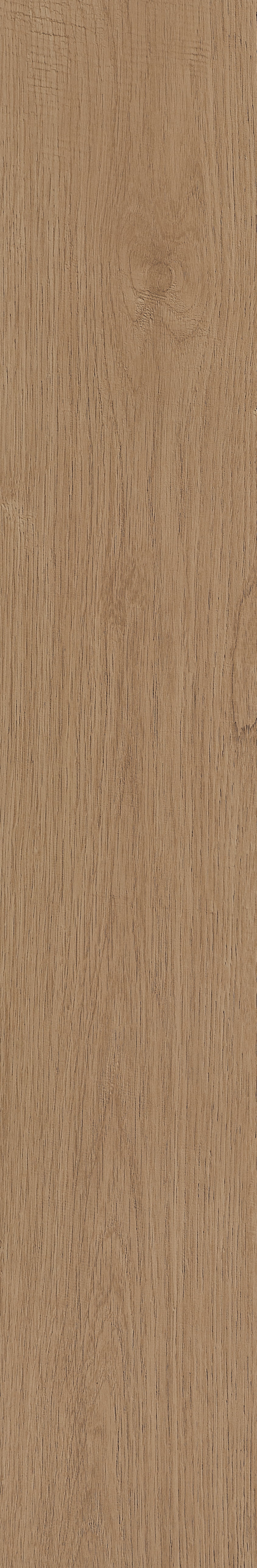 Fragrant · Matt Mould W1202331 · W1202331 Single Tile Image 36