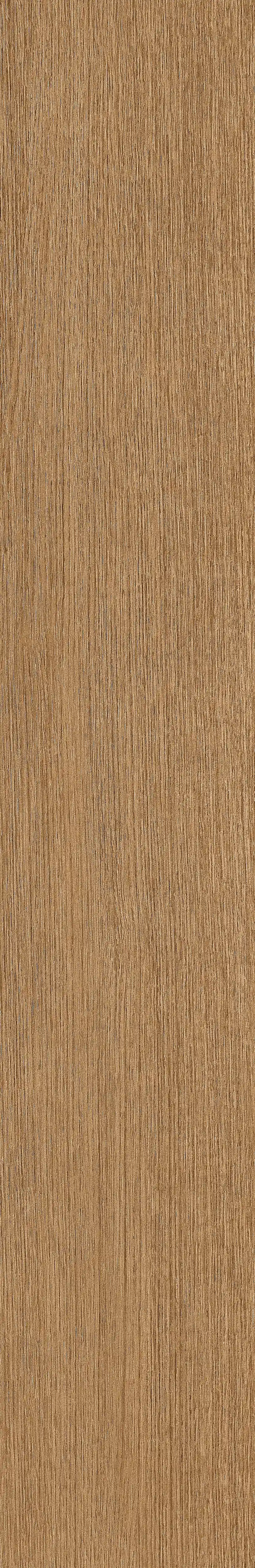 半岛MAX · 数码模具 W1202304 · W1202304 单片图 27