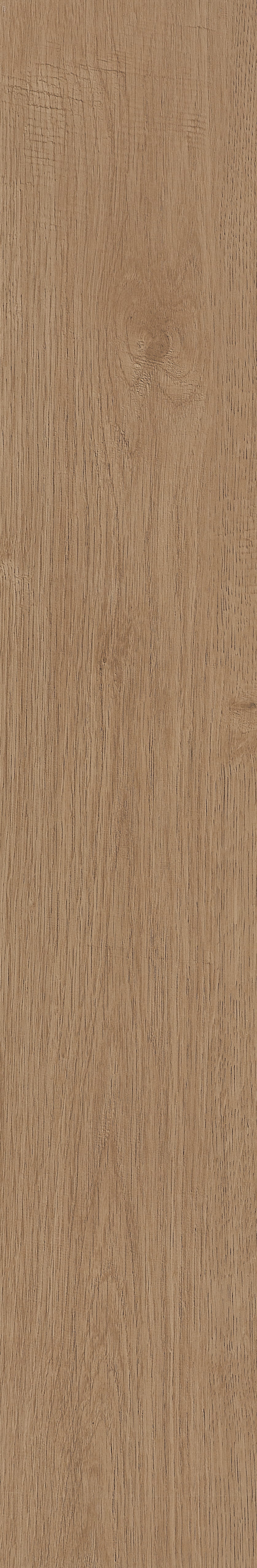 Fragrant · Matt Mould W1202331 · W1202331 Single Tile Image 18