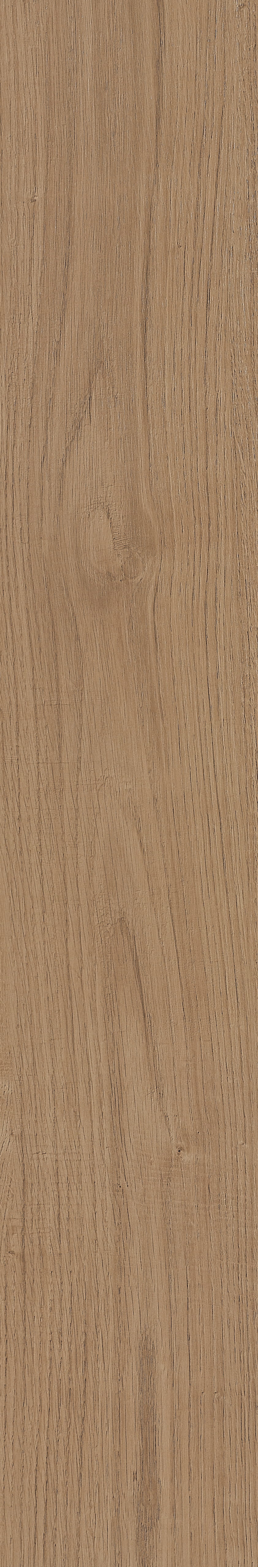 Fragrant · Matt Mould W1202331 · W1202331 Single Tile Image 7