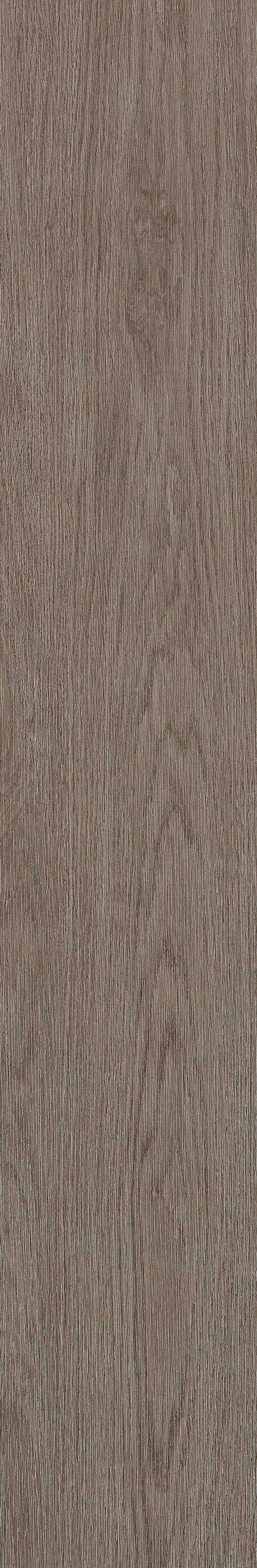 半岛MAX · 数码模具 W1202305 · W1202305 单片图 19