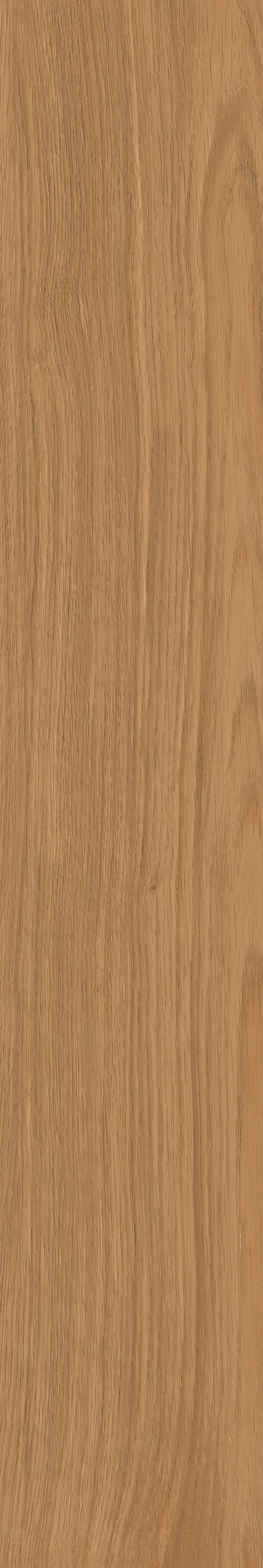 Yangmu · Digital Mould W1202342 · W1202342 Single tile image 30