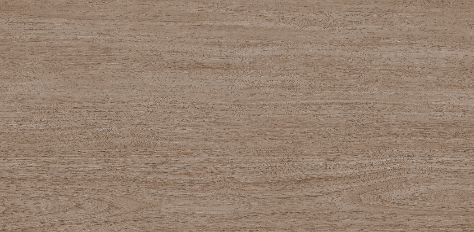 West Coast Walnut · Velvet R1206501 · R1206501 Single tile image 9