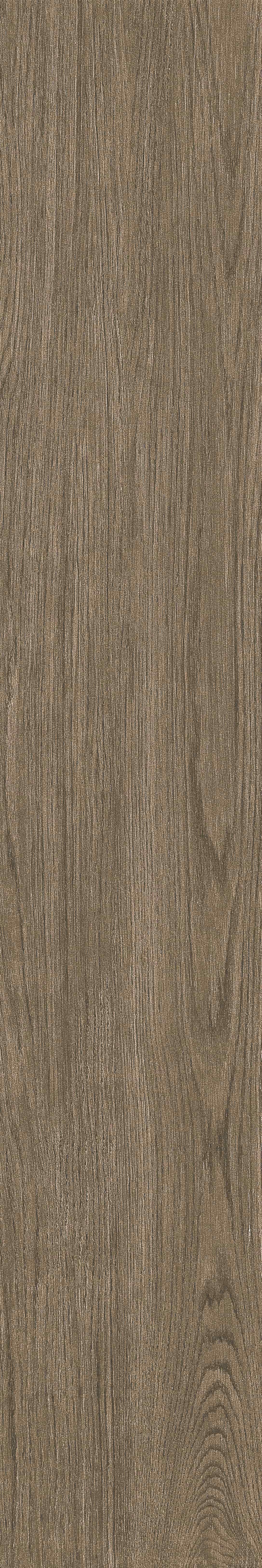 半岛 · 哑光模具 W1202070 · W1202070 单片图 24