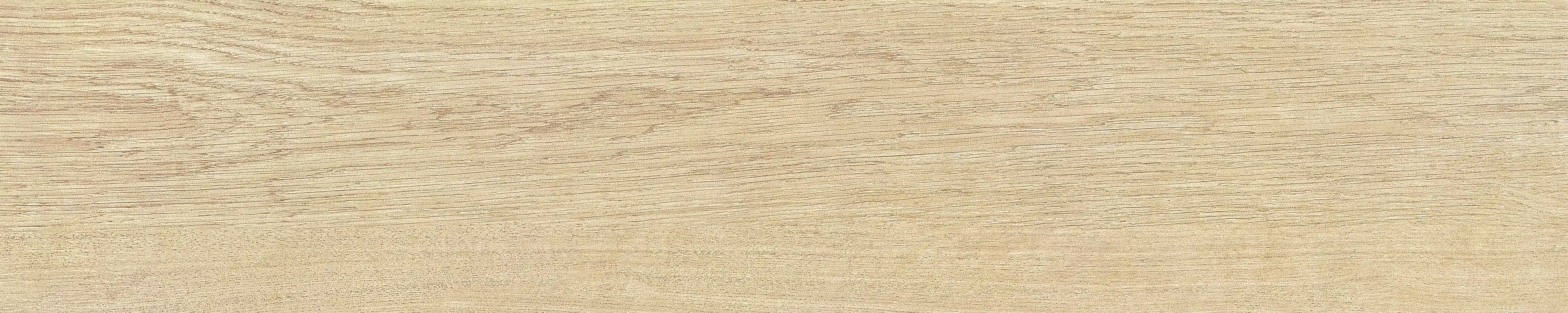 半岛 · 哑光模具 W1002033 · W1002033 单片图 10