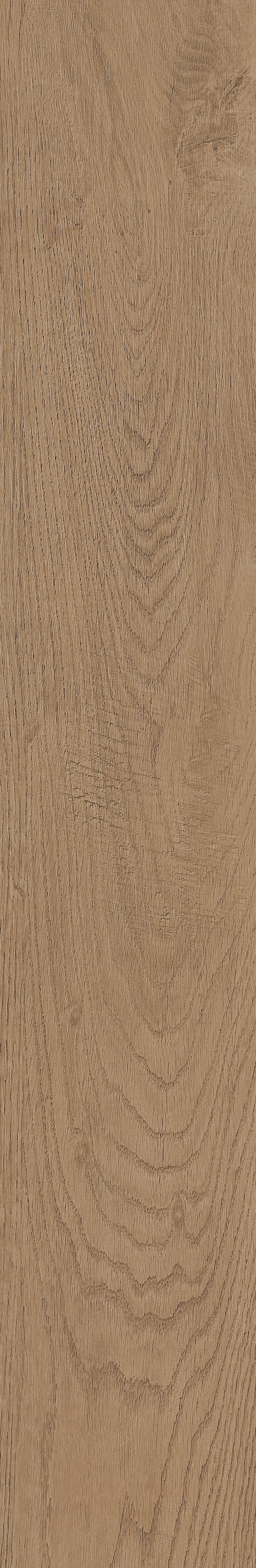 Fragrant · Matt Mould W1202331 · W1202331 single tile image 50