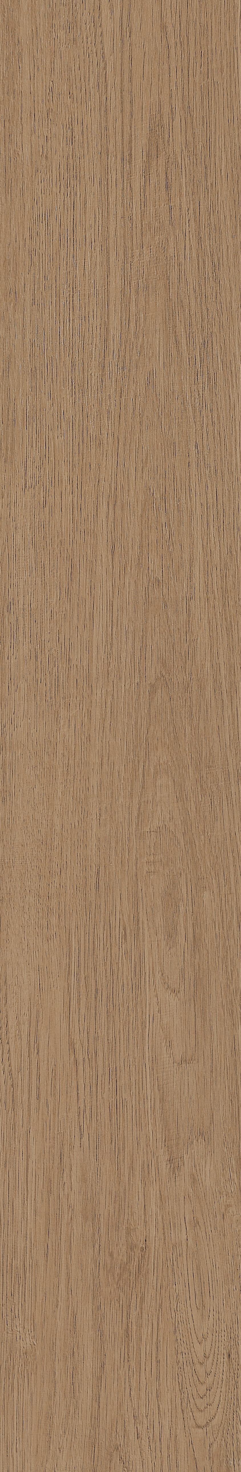 Fragrant · Matt Mould W1202331 · W1202331 Single Tile Image 38