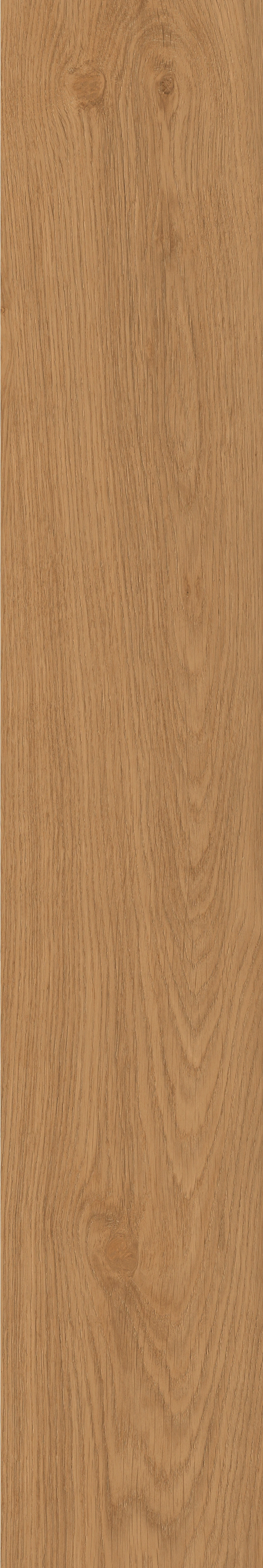 Yangmu · Digital Mould W1202342 · W1202342 Single tile image 13