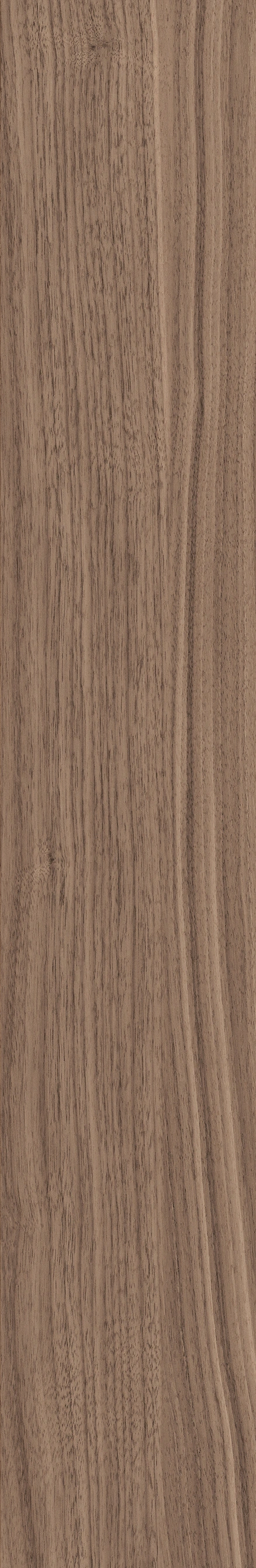 North American Walnut · Matt mould W1202075 · W1202075 single tile image 6