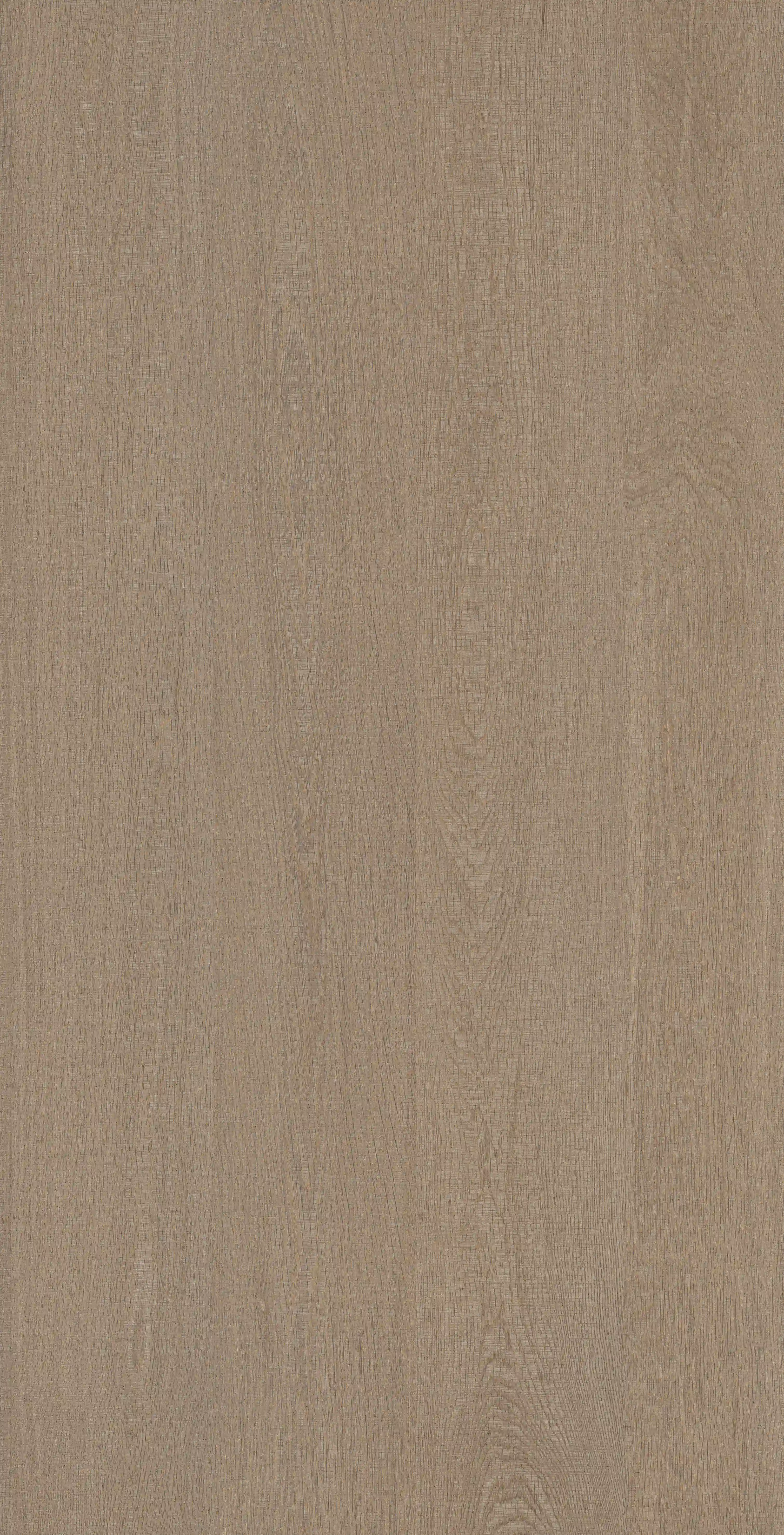 Oak Trace · Porcelain W1507511 · W1507511 single tile image 2