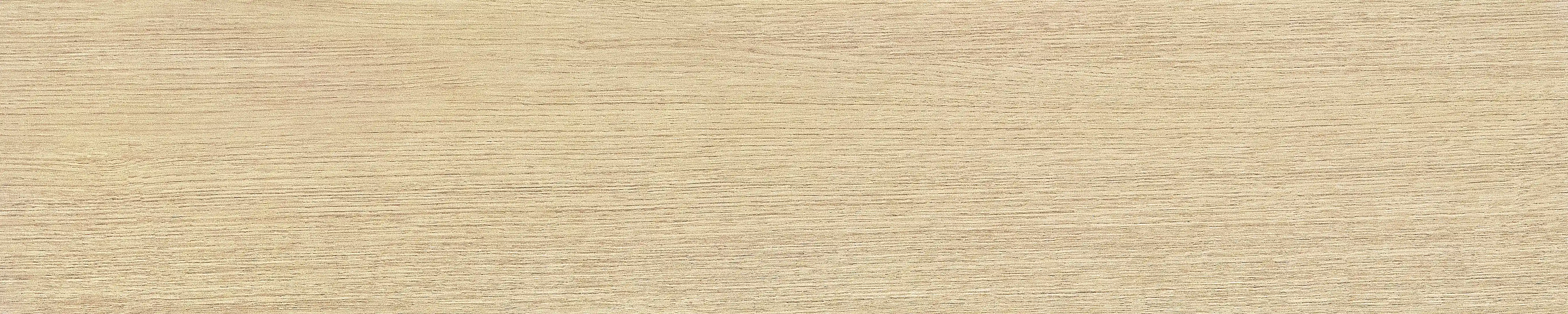 半岛 · 哑光模具 W1002033 · W1002033 单片图 12