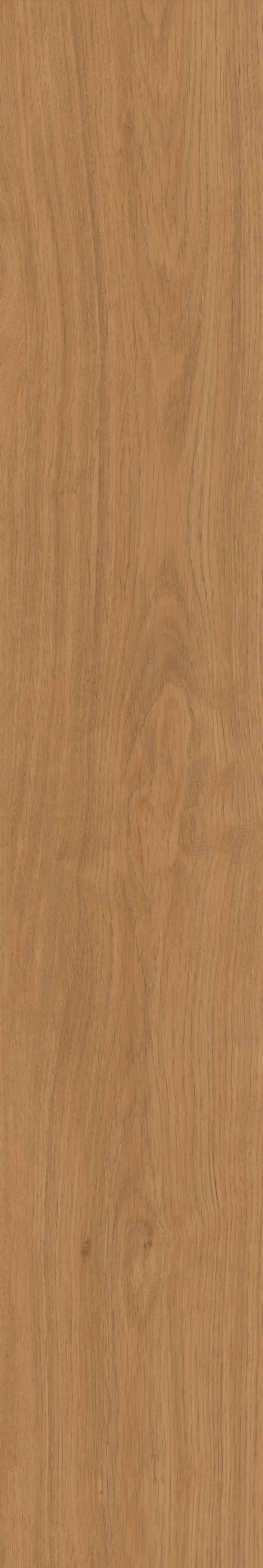 Yangmu · Digital Mould W1202342 · W1202342 Single tile image 2