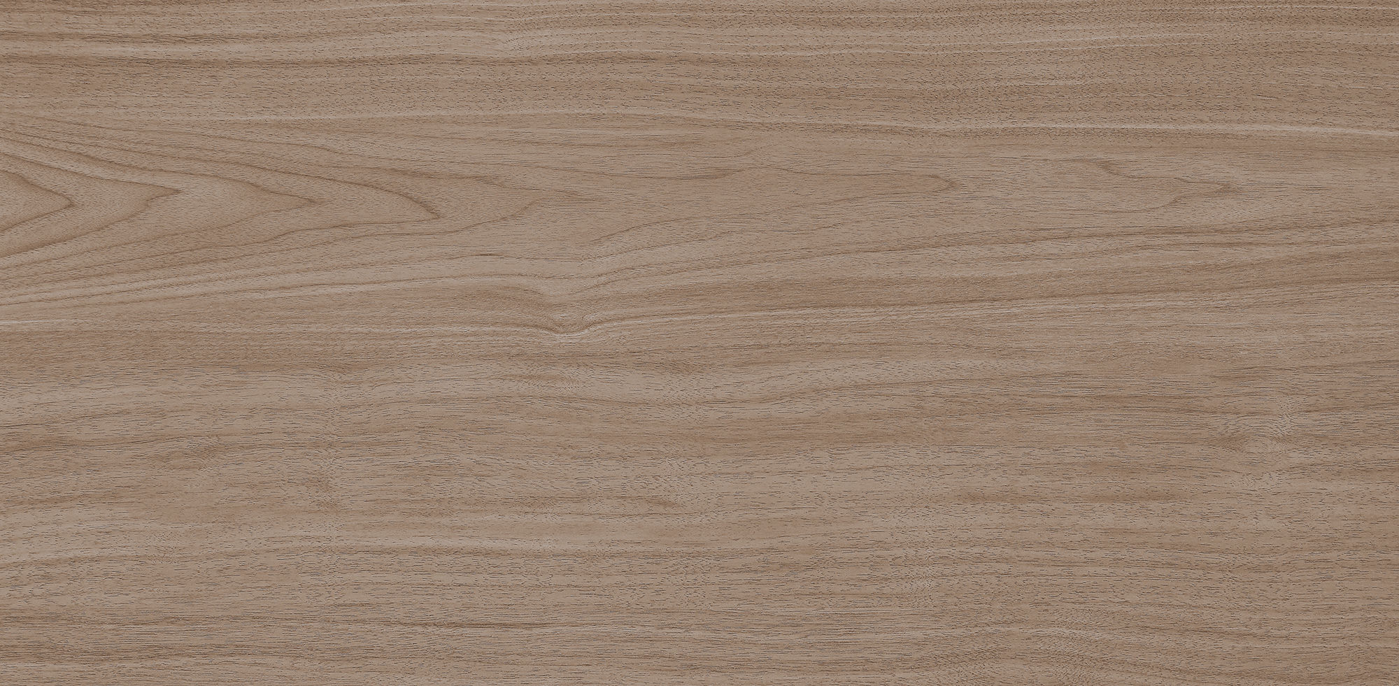 West Coast Walnut · Velvet R1206501 · R1206501 Single tile image 2
