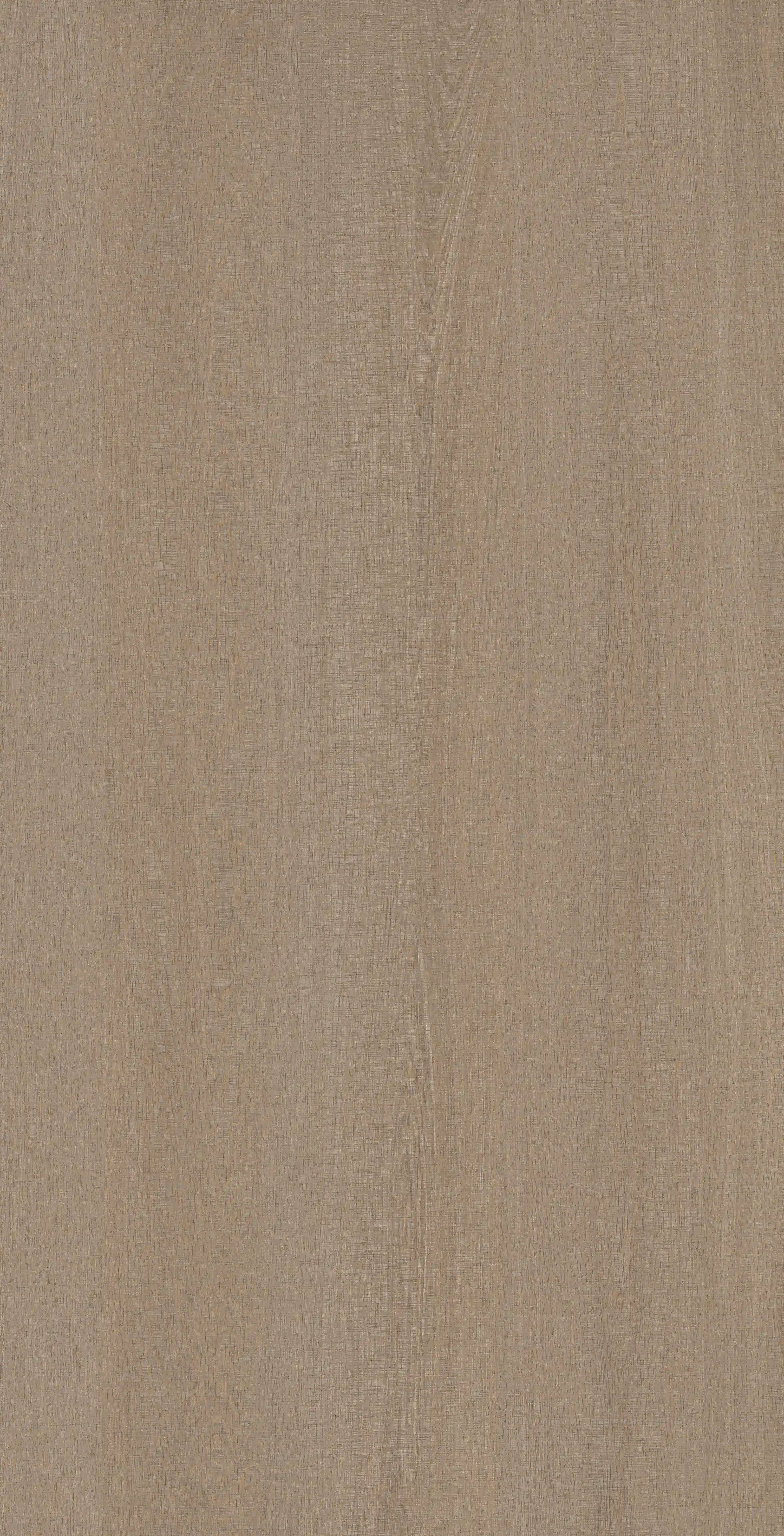 Oak Trace · Porcelain W1507511 · W1507511 single tile image 6