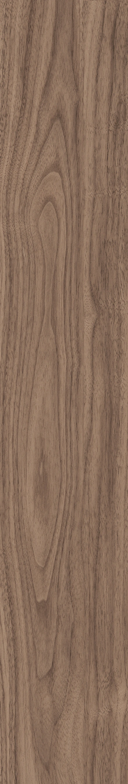 North American Walnut · Matt mould W1202075 · W1202075 single tile image 7