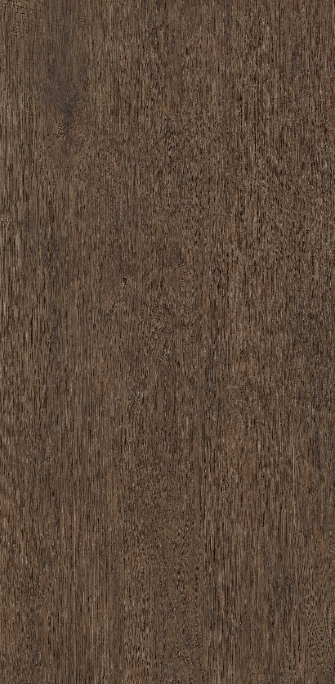 Fragrance · Matt Mould W1206333 · W1206333 Single tile image 15