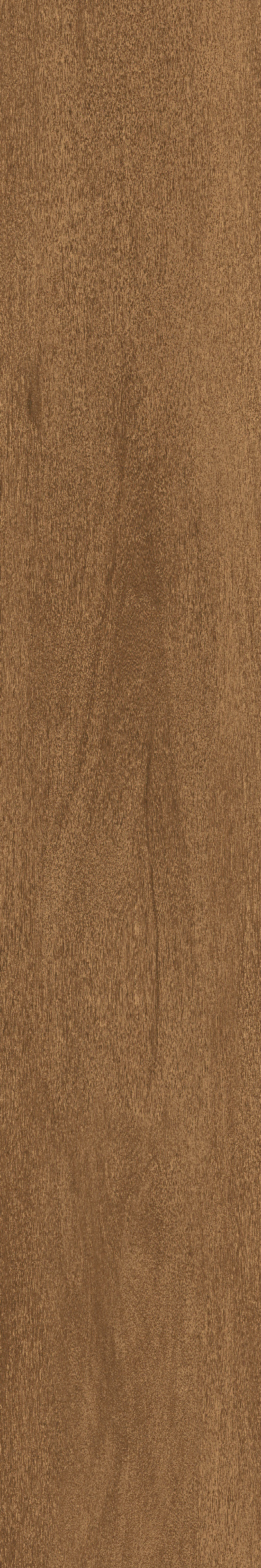 Cedar · Matt Mould W1202325 · W1202325 Single Tile Image 12