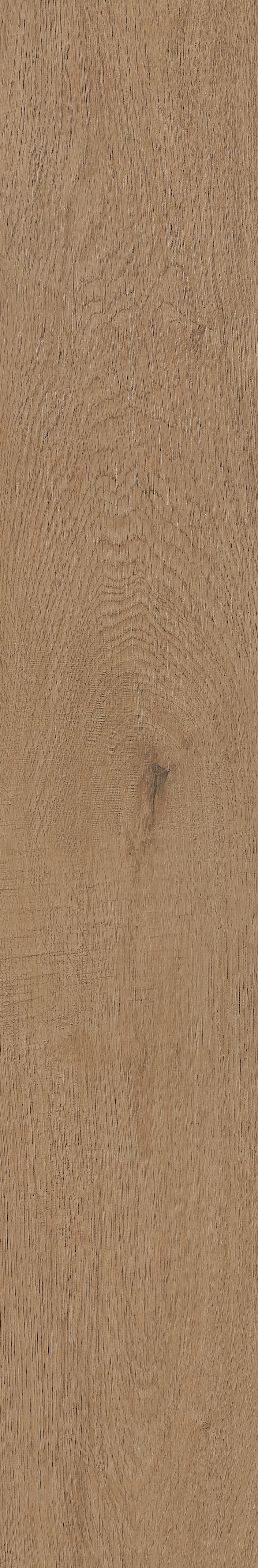 Fragrant · Matt Mould W1202331 · W1202331 Single Tile Image 32